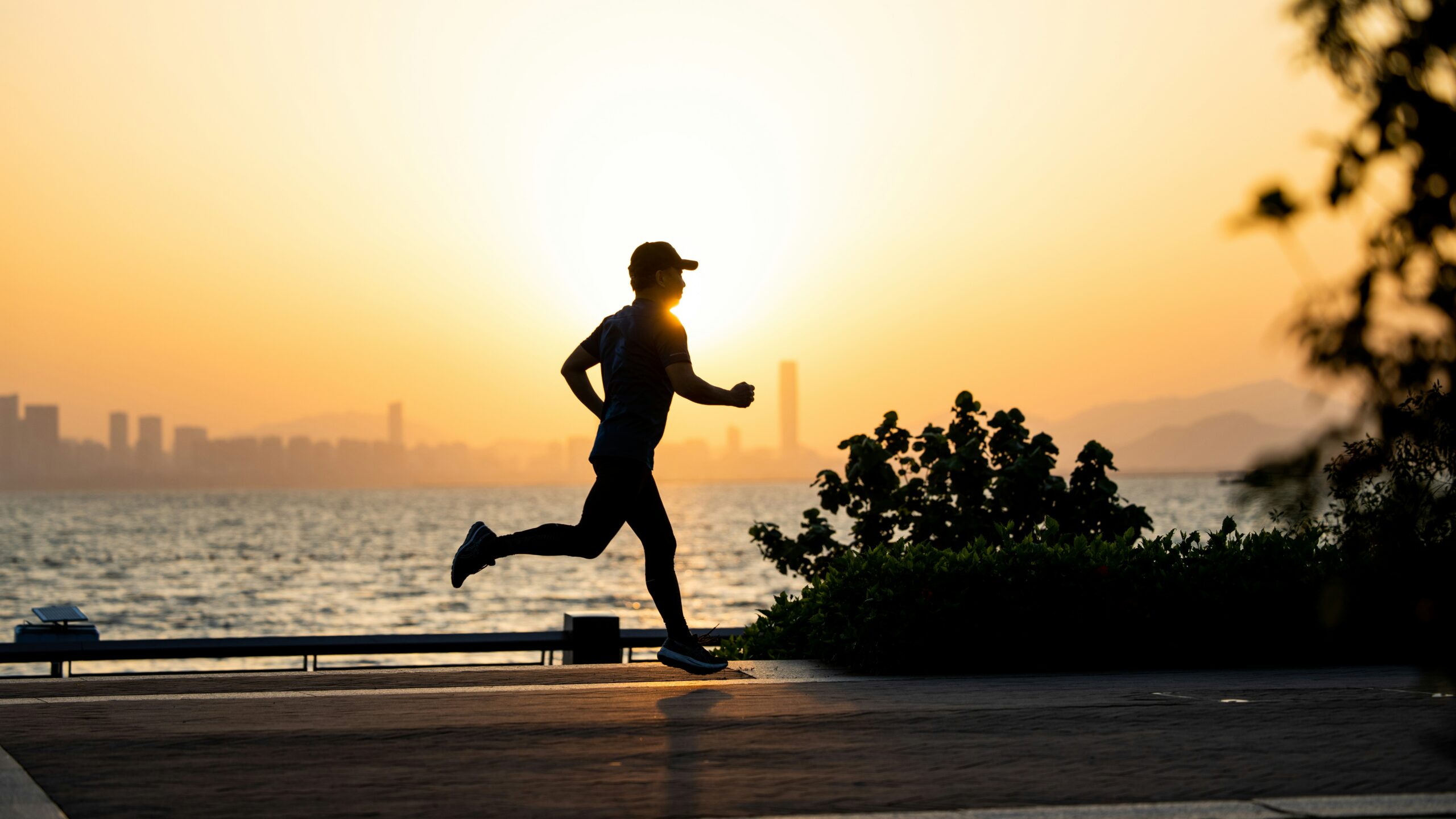 Health Boost 4 Powerful Habits for a Healthy Today & Greater Tomorrow