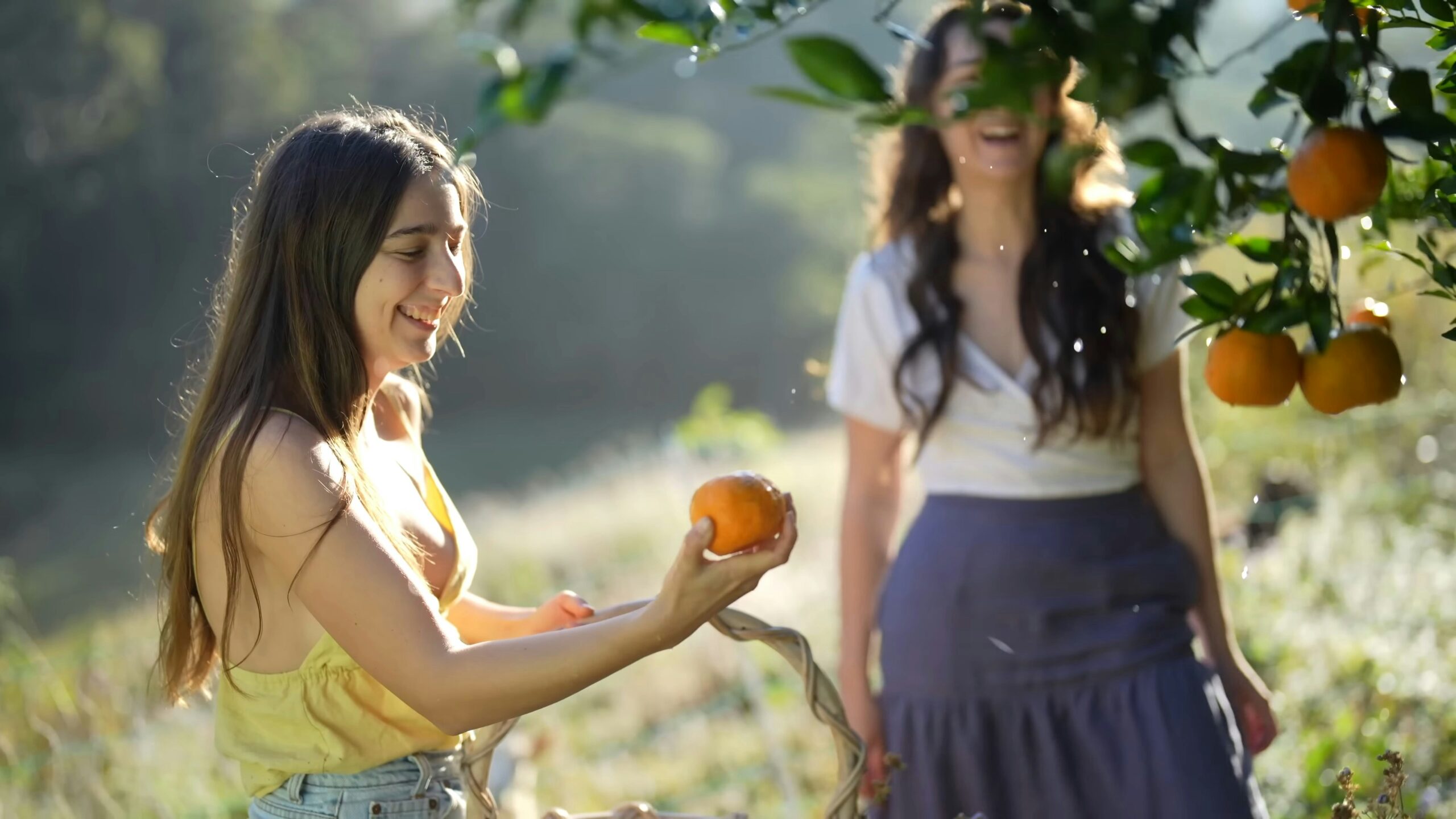 Health Harmony 8 Innovative Products That Restore Balance Naturally